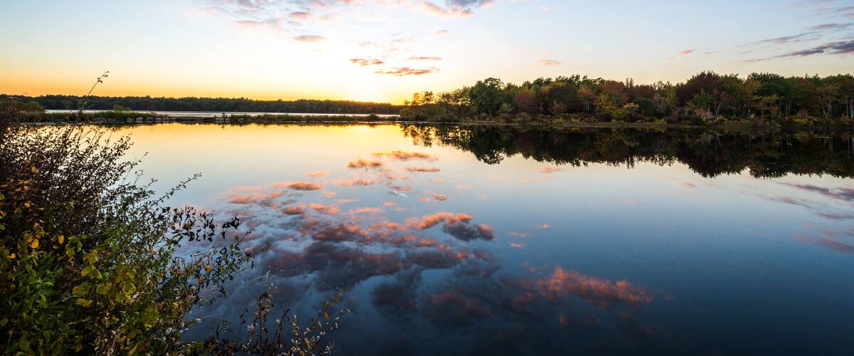 A calm lake at sunset with a clear sky and trees in the background.