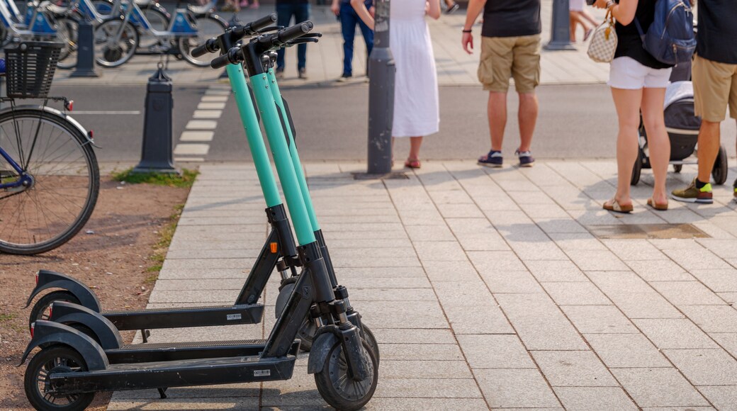 ดืสเซลดอร์ฟ