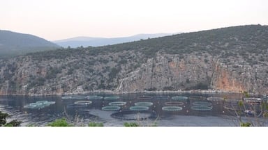 Fish farm in the Saronic Gulf near Korfos, just north of Nea Epidavros.