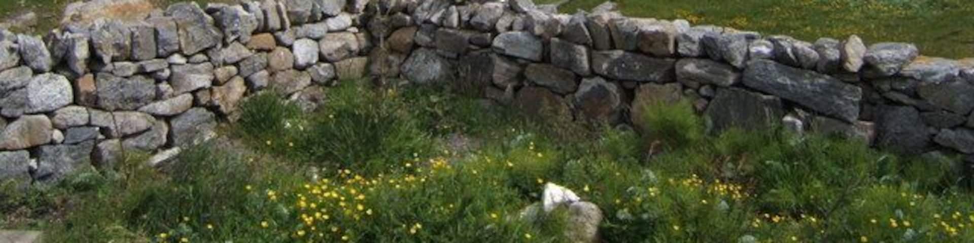 A coastal landscape with a stone wall, grassy areas, and a clear blue lake.