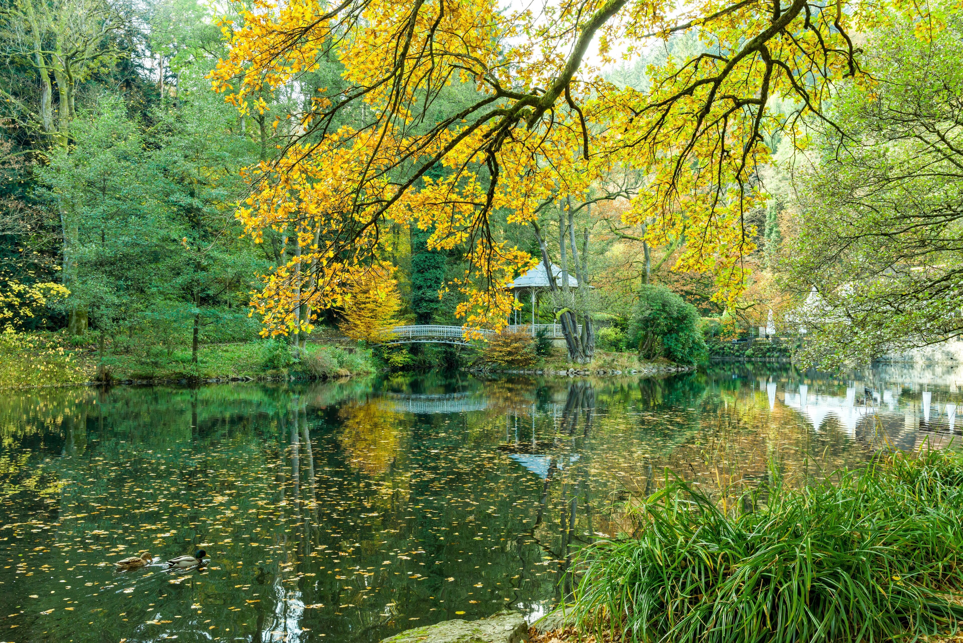 Bilder aus Freiburg im Breisgau