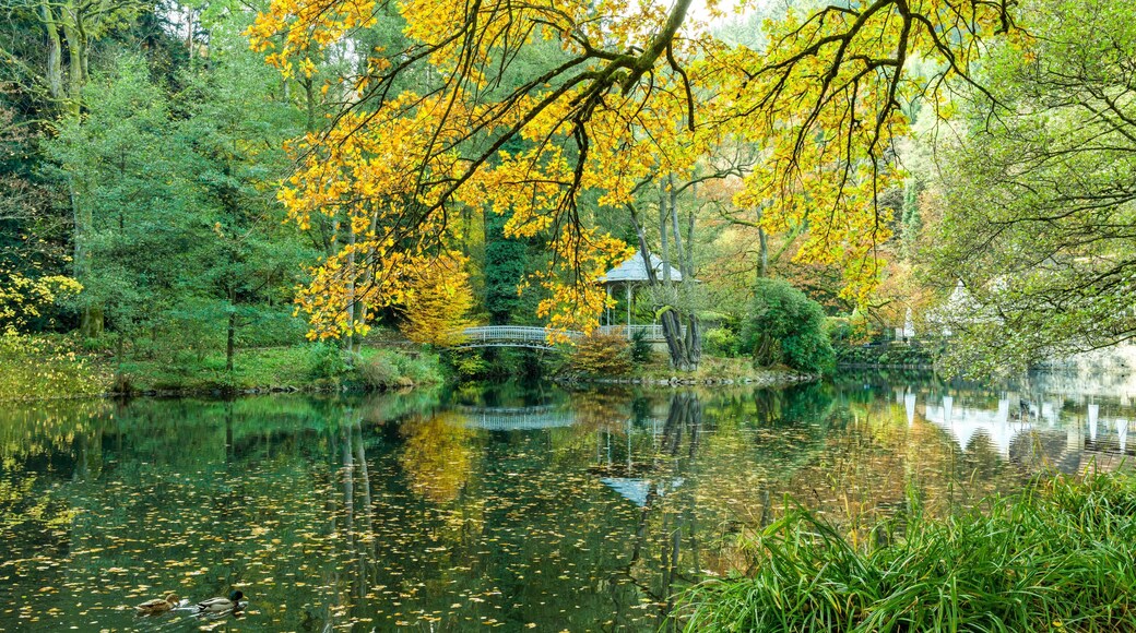 Bilder aus Freiburg im Breisgau