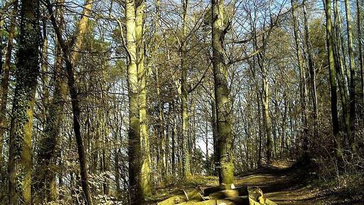 April Hochschwarzwald Freiburg im Breisgau Zähringen 1000 mtr - Mythos Black Forest Photography 2013