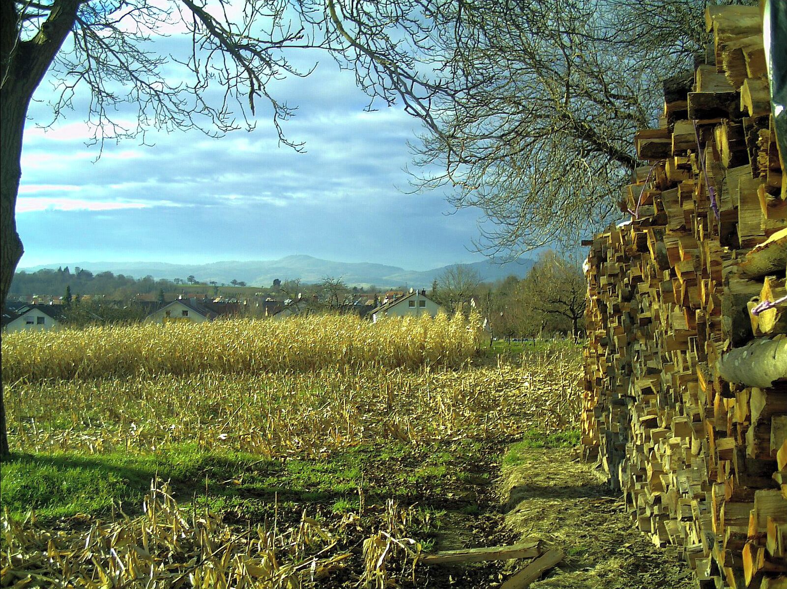 December Leuchtende Sonnwende Kaiserstuhl - Master Mythos Black Forest Photography 2013 Tiefster Stand der Sonne - Hochdorf Town