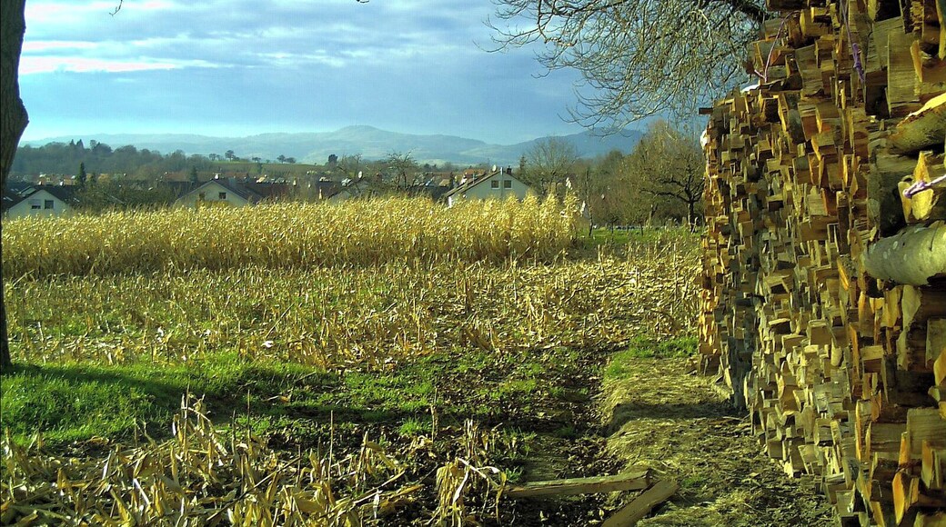 December Leuchtende Sonnwende Kaiserstuhl - Master Mythos Black Forest Photography 2013 Tiefster Stand der Sonne - Hochdorf Town