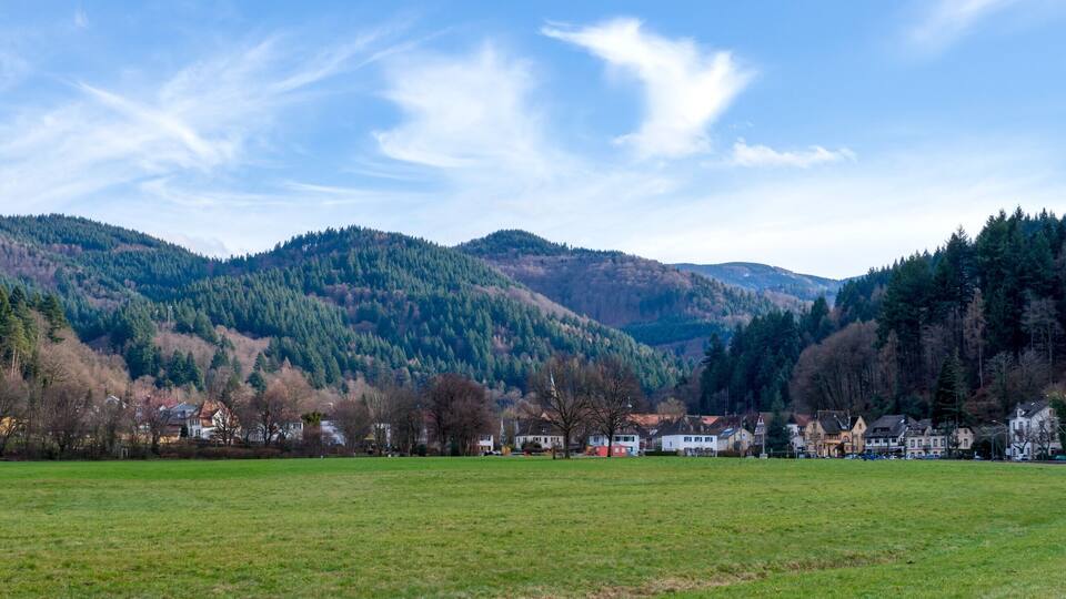 A valley with a railway track, green fields, and houses in a mountainous area.