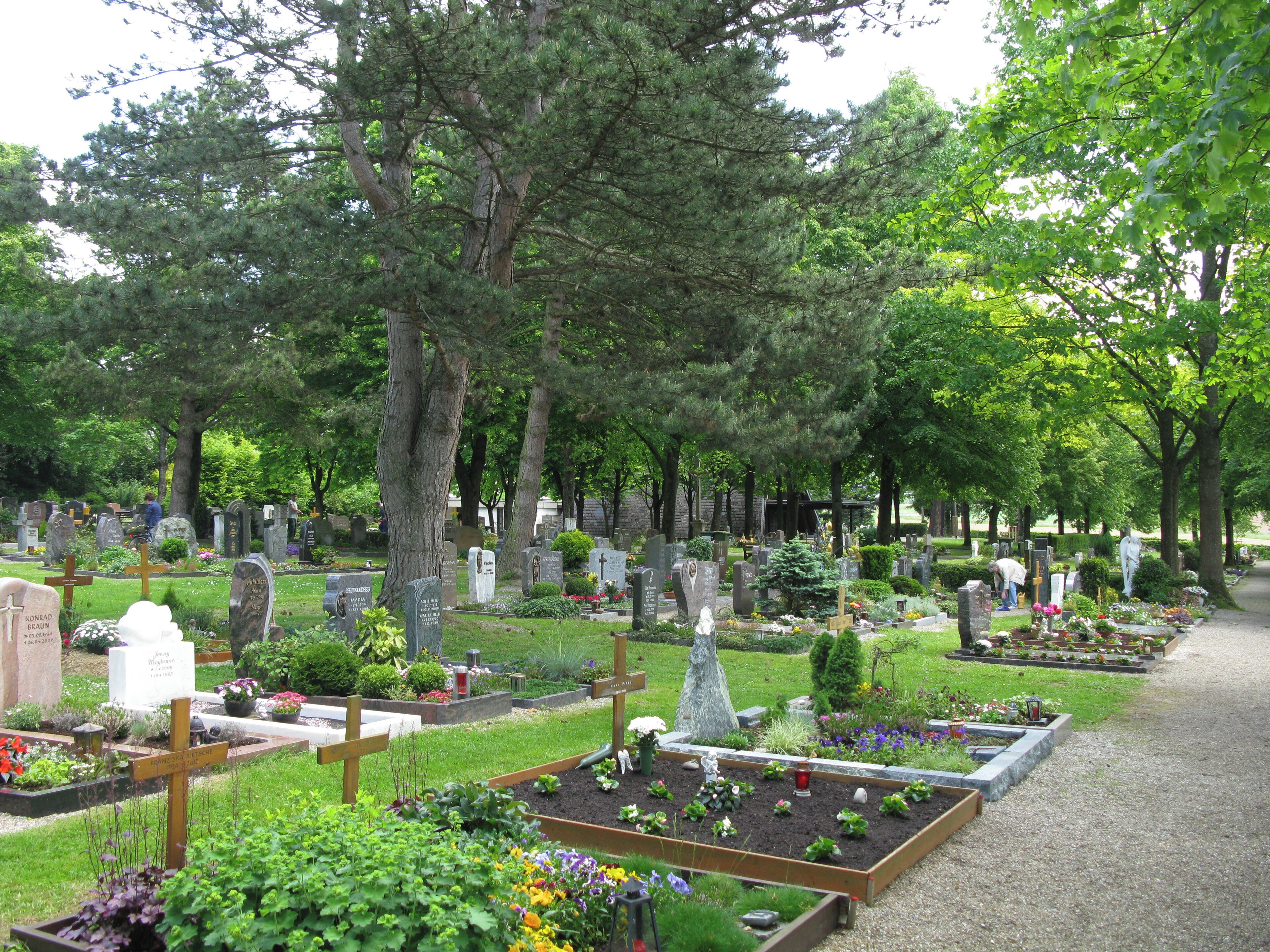 A cemetery with numerous gravestones, trees, and flower beds.