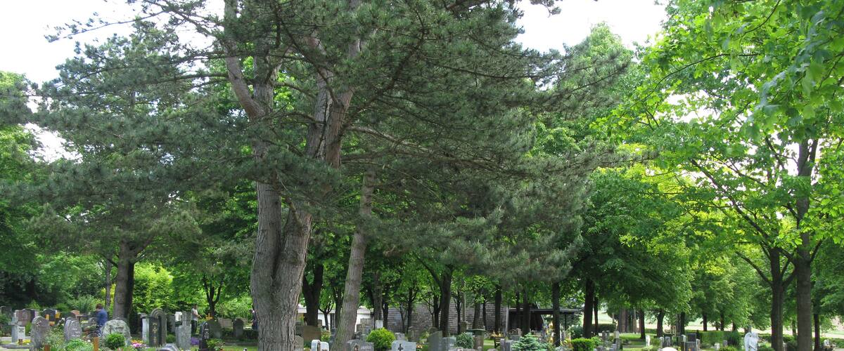 A cemetery with numerous gravestones, trees, and flower beds.