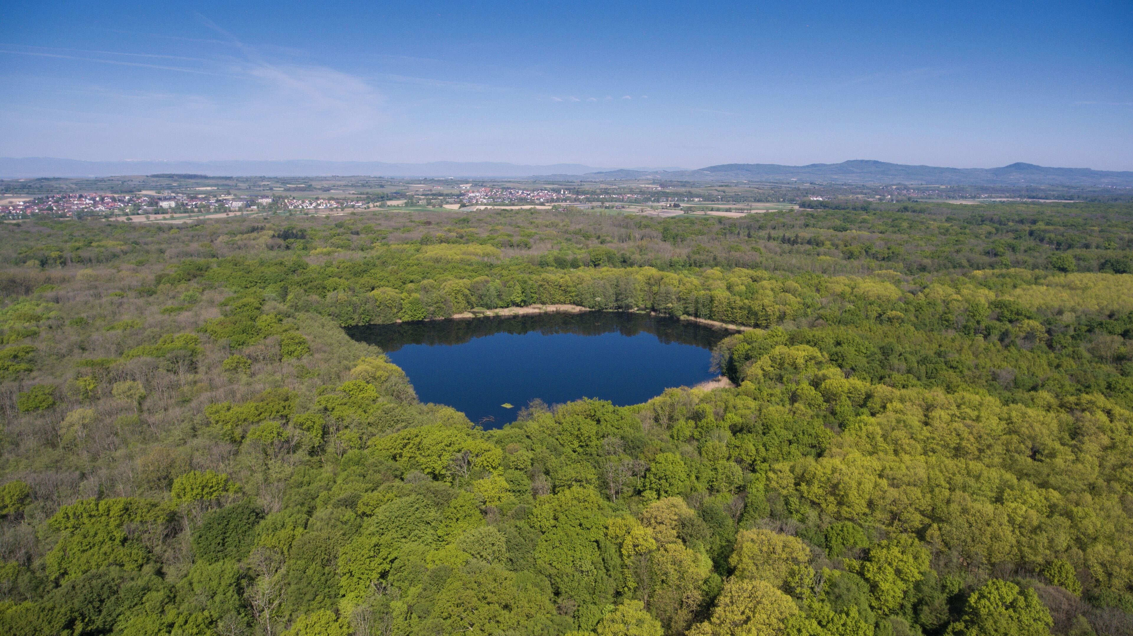 A lake surrounded by dense forest with a distant town.