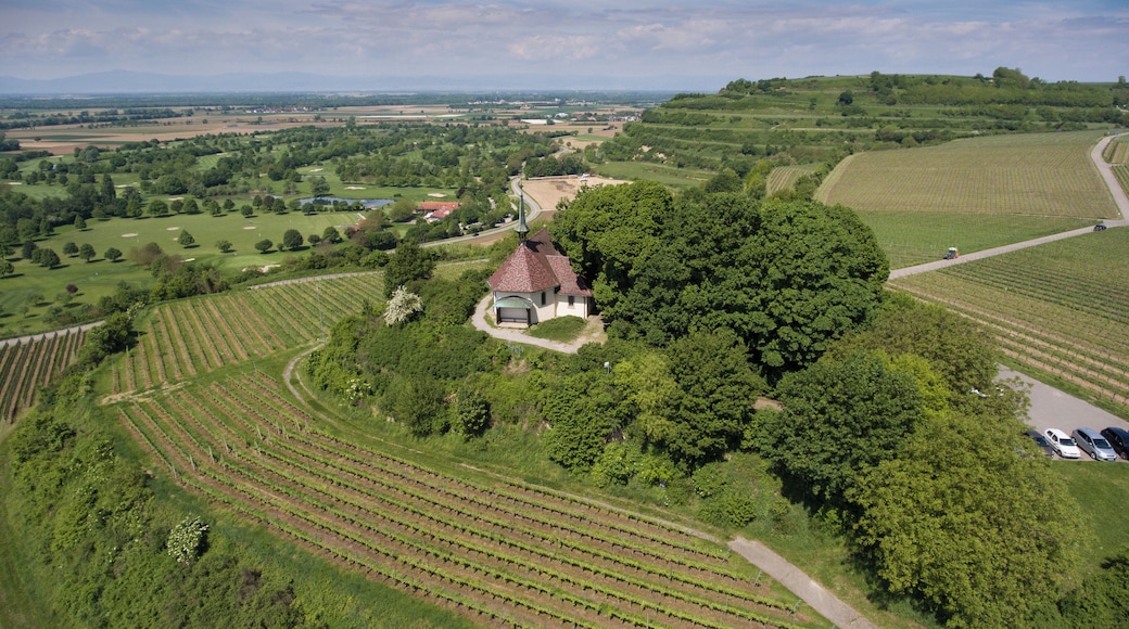 Aerial view Erentrudis chapel above Freiburg-Munzingen