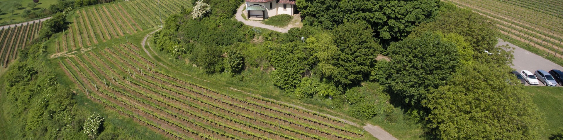 Aerial view Erentrudis chapel above Freiburg-Munzingen
