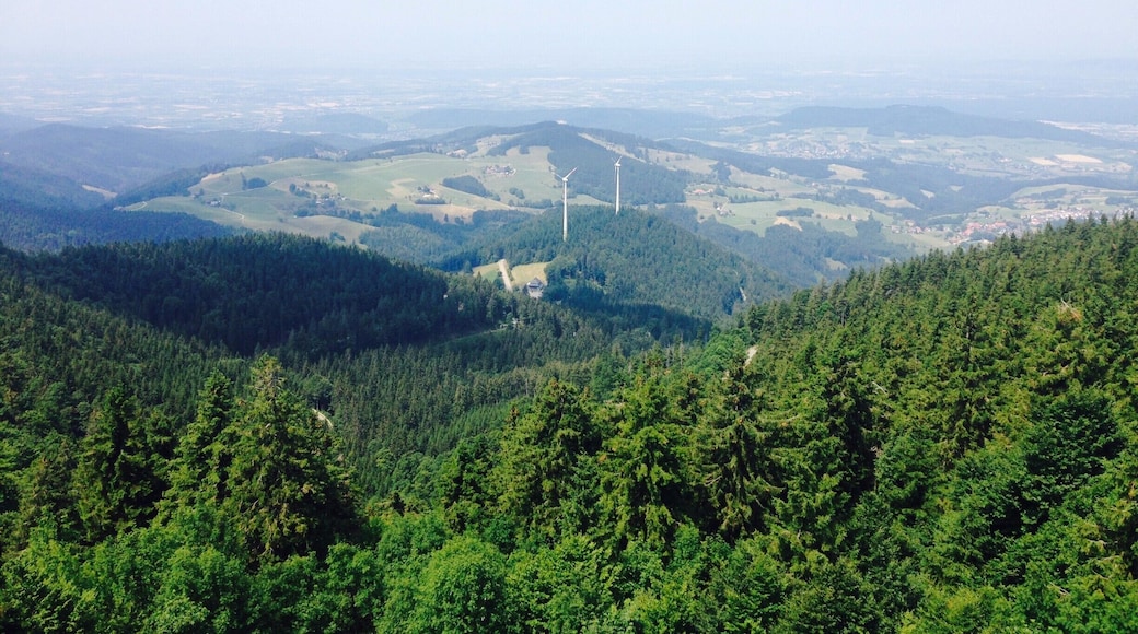 View from the Eugen-Keidel-Turm Tower on the Schauinsland Mountain