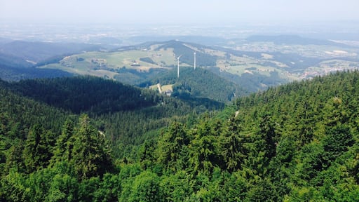 View from the Eugen-Keidel-Turm Tower on the Schauinsland Mountain