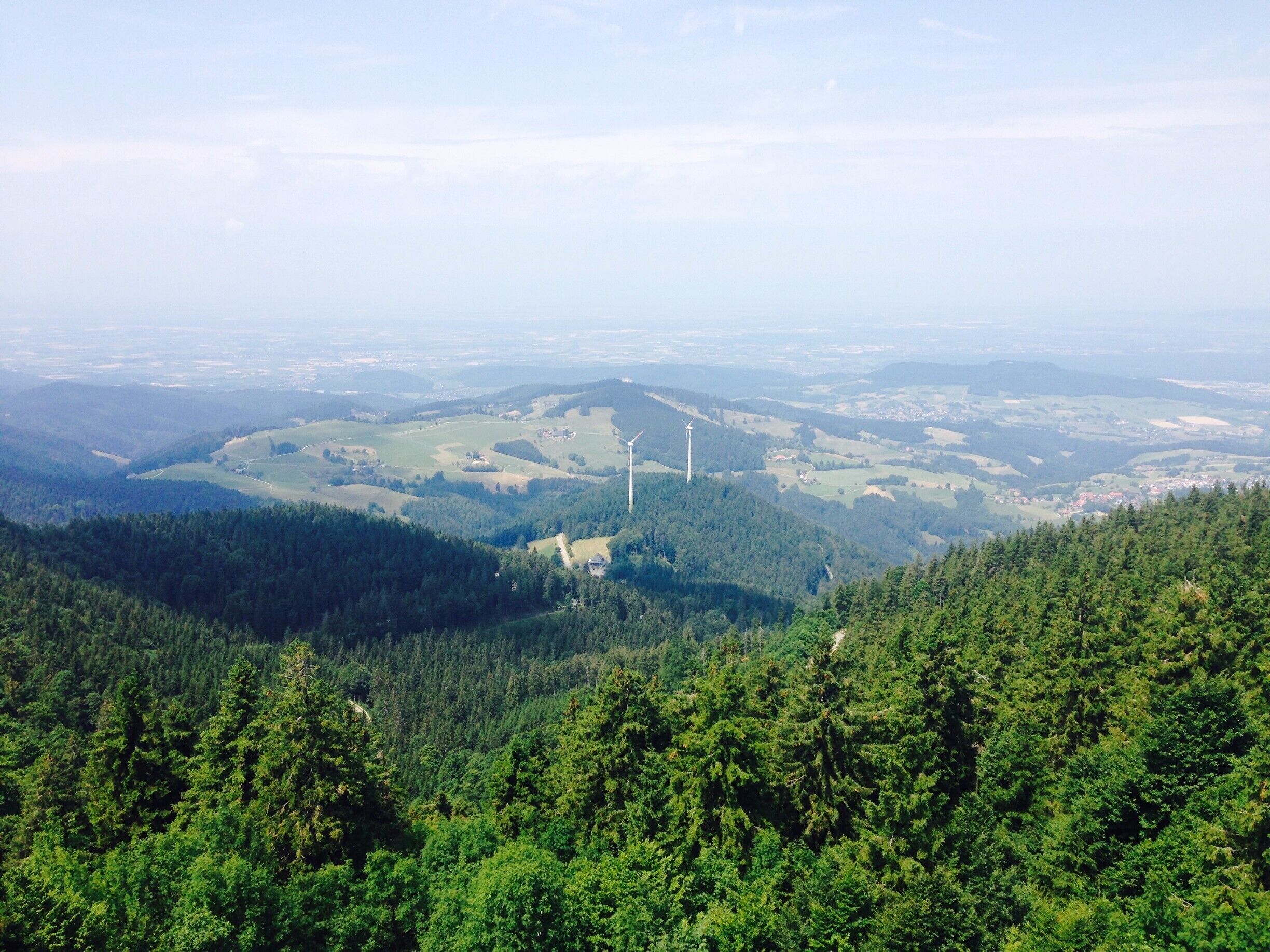 A mountainous landscape with dense forests and wind turbines.