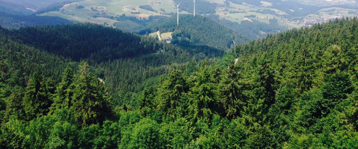 A mountainous landscape with dense forests and wind turbines.