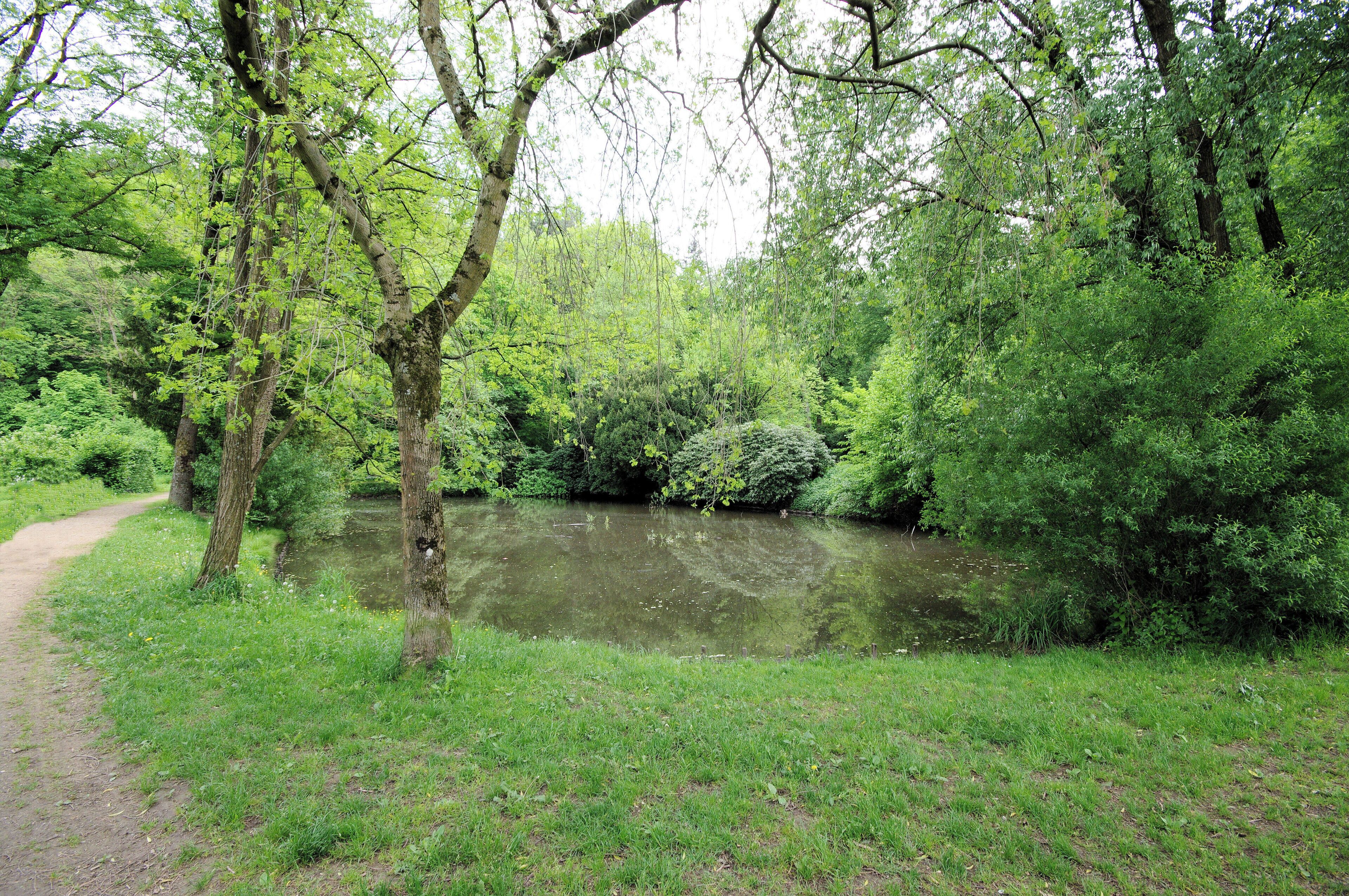 Der untere der 2 Deichele-Weiher