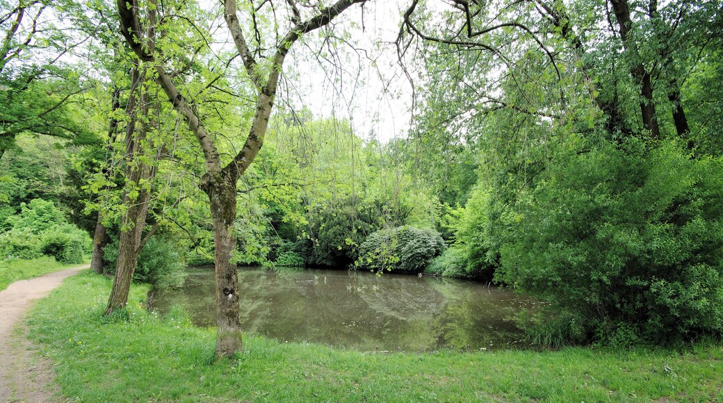 Der untere der 2 Deichele-Weiher