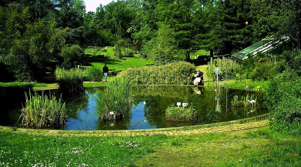 Mai - Botanischer Garten Freiburg - 2016