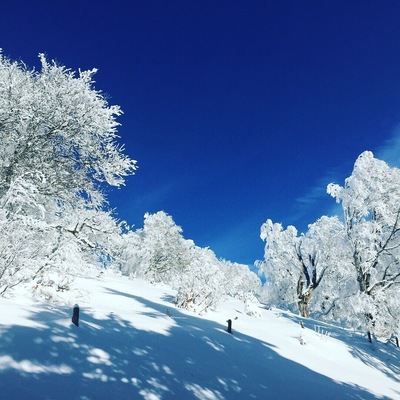Winter is here! I love it so much, seeing the absolut white and glittering landscape and hearing almost nothing but the wind. It is so nice to become aware of that I am living in such a beautiful part of the world.
