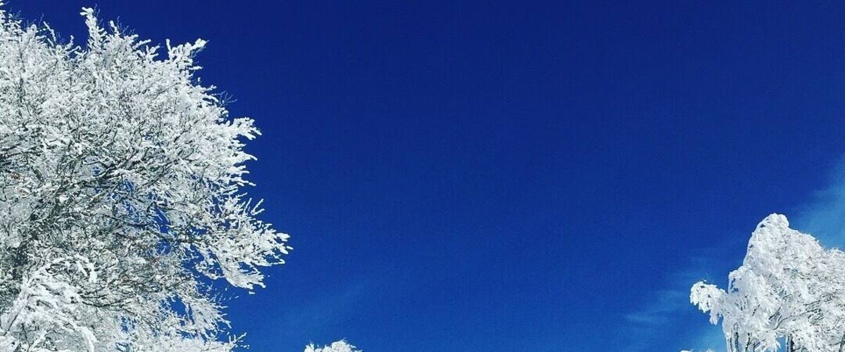 A snow-covered landscape with trees and a clear blue sky.