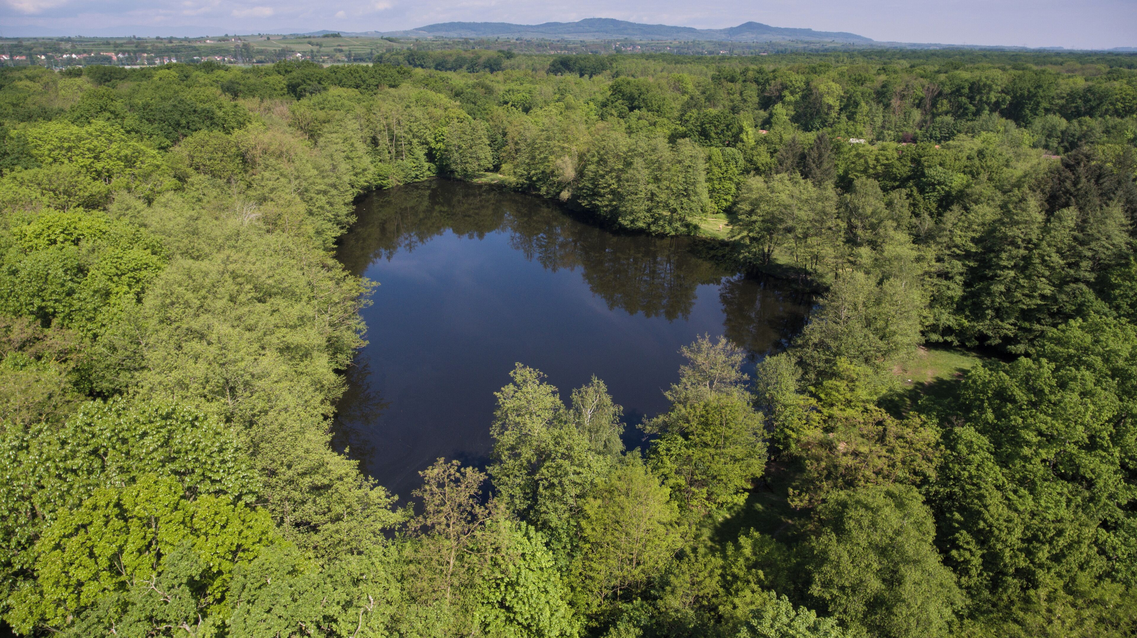 A lake surrounded by dense forest with distant hills.