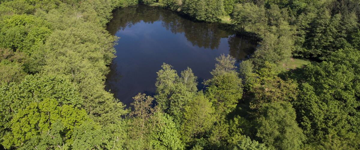 A lake surrounded by dense forest with distant hills.