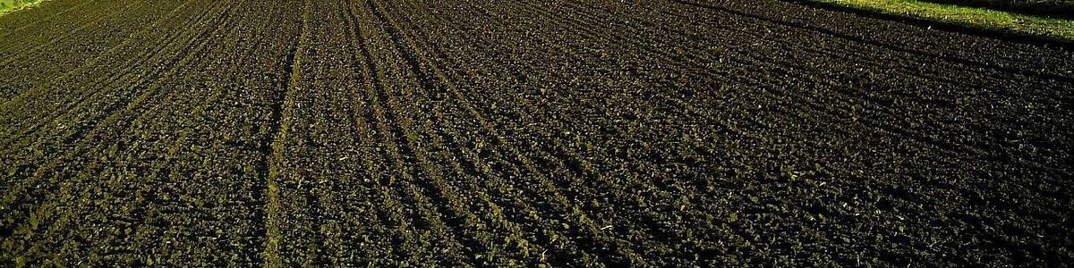 December Leuchtende Sonnwende Schwarzwald - Master Mythos Black Forest Photography 2013 Mountain View and Sun Valley - Mount Feldberg Panorama
