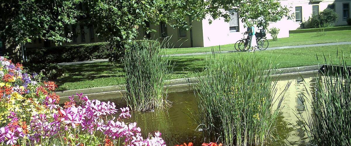 A garden with colorful flowers and a pond.