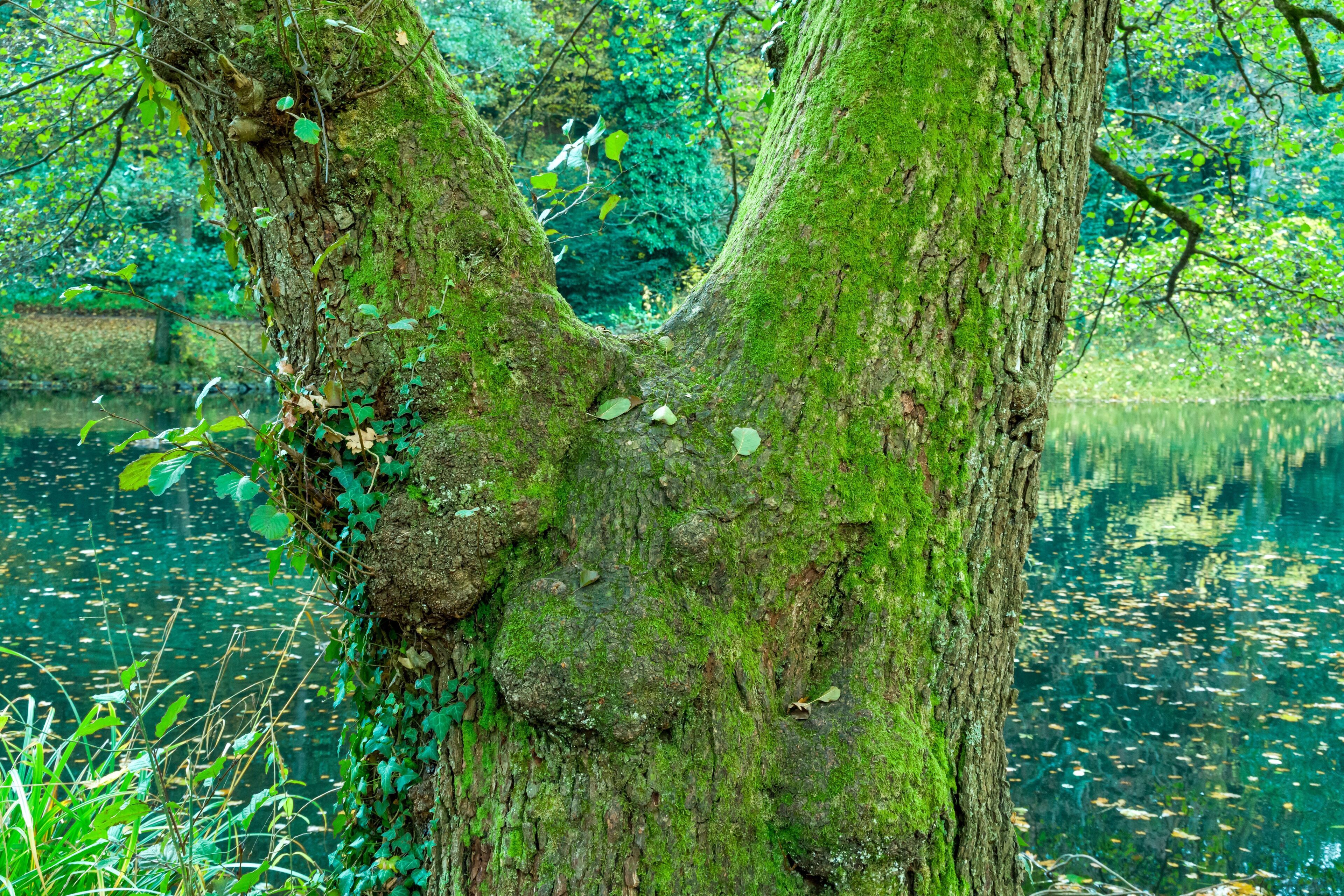 Bilder aus Freiburg im Breisgau