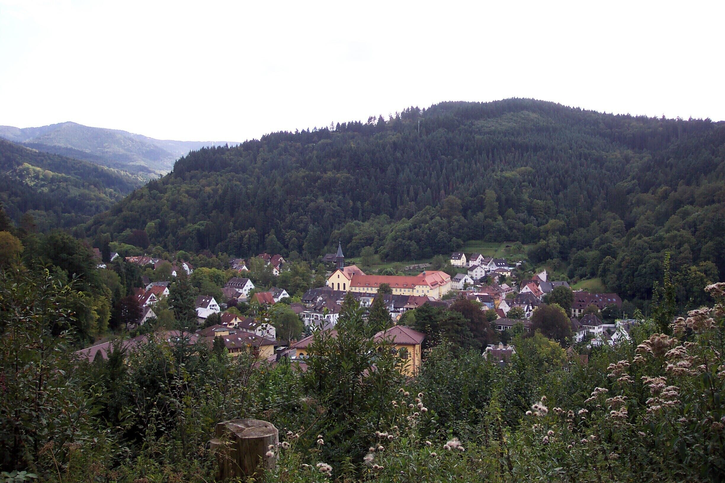 Blick auf Freiburg Günterstal