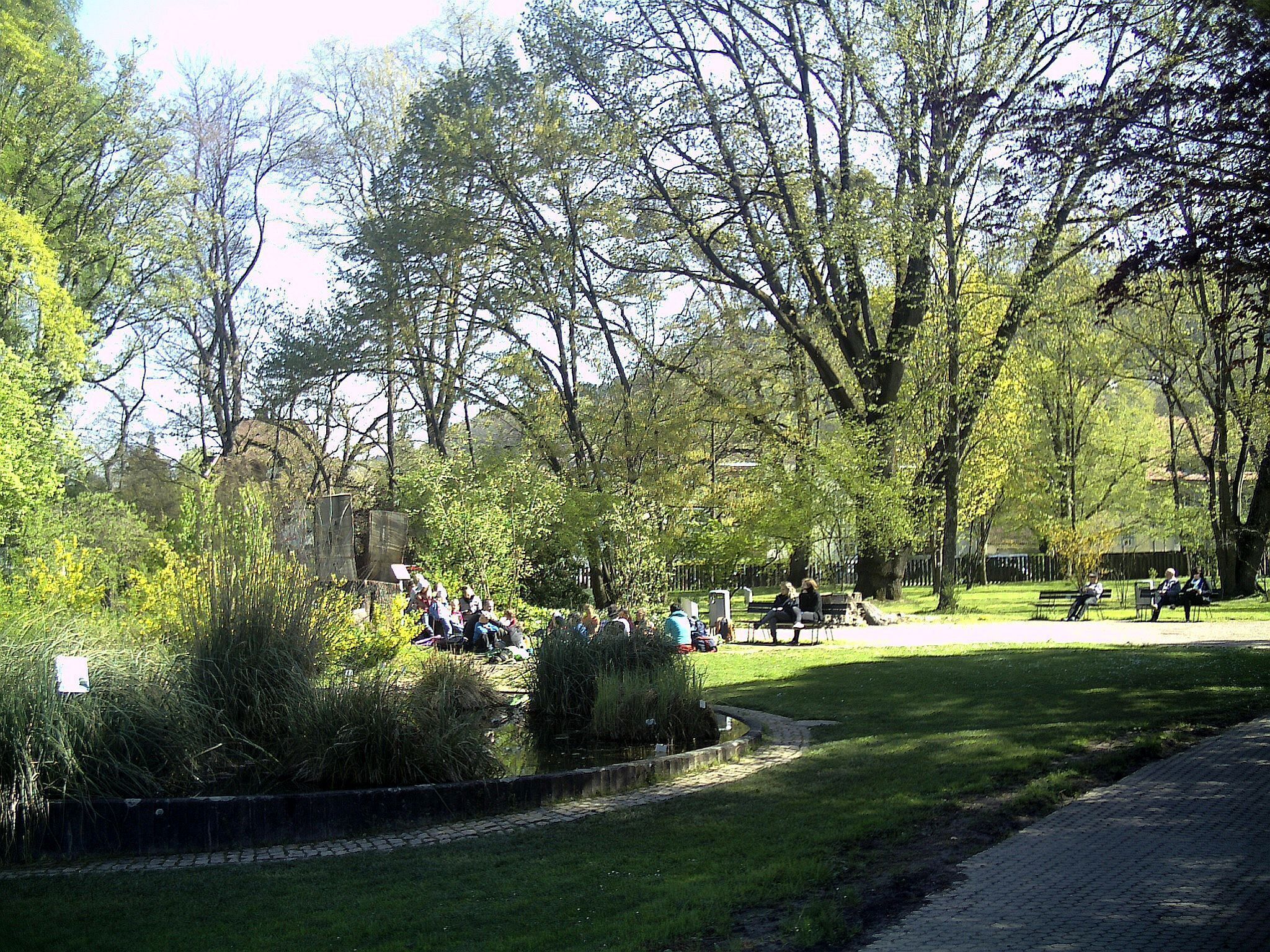April - Spring Botanischer Garten Freiburg - 2016