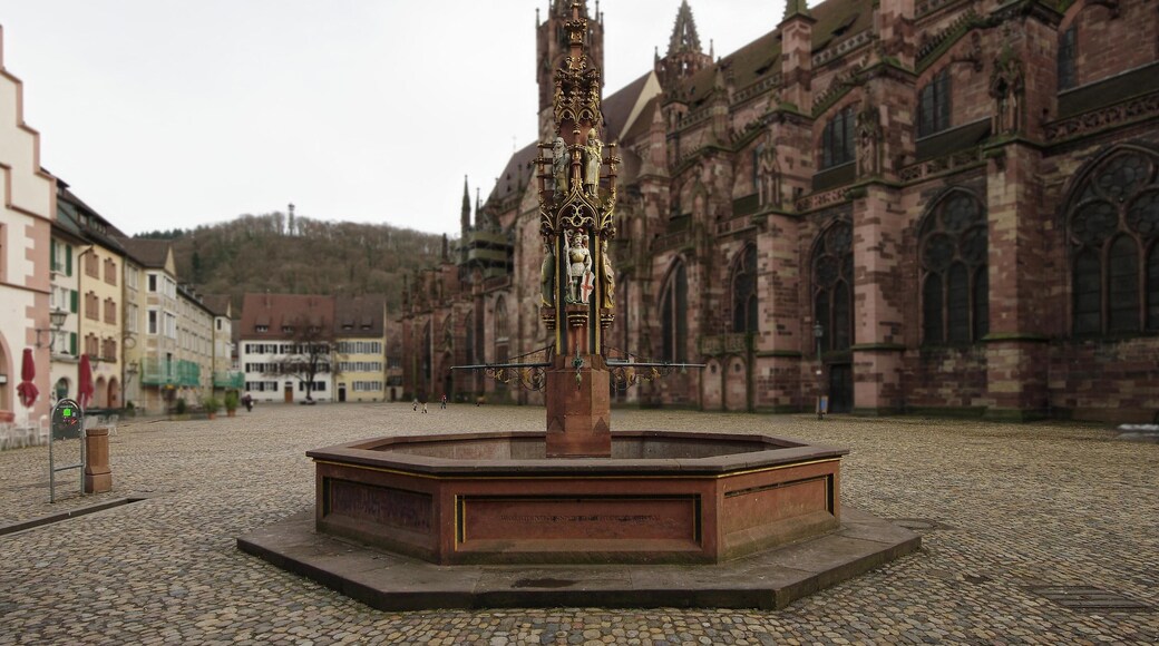 Der Fischbrunnen auf dem Münsterplatz