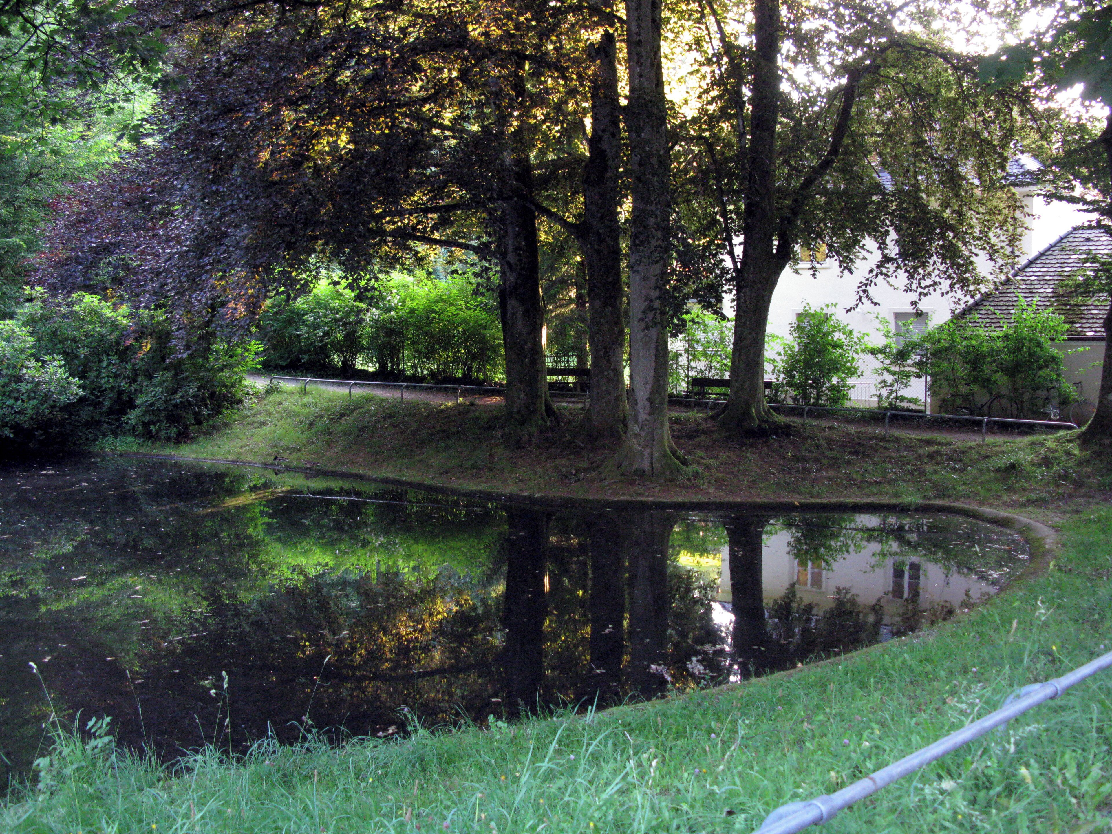Weiher in Freiburg-Günterstal