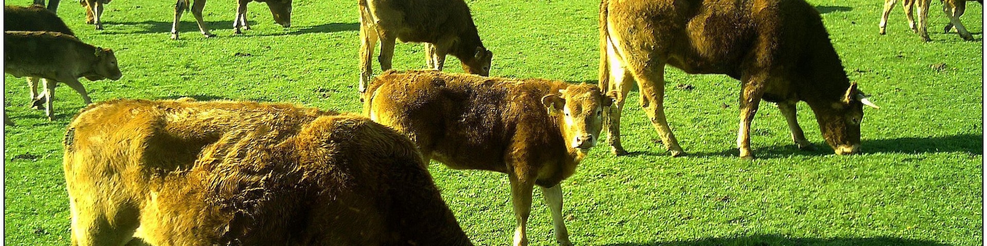 April Parc Natural Freiburg Germany - Master Landscape Rhine Valley Photography 2014 Landgut Mundenhof