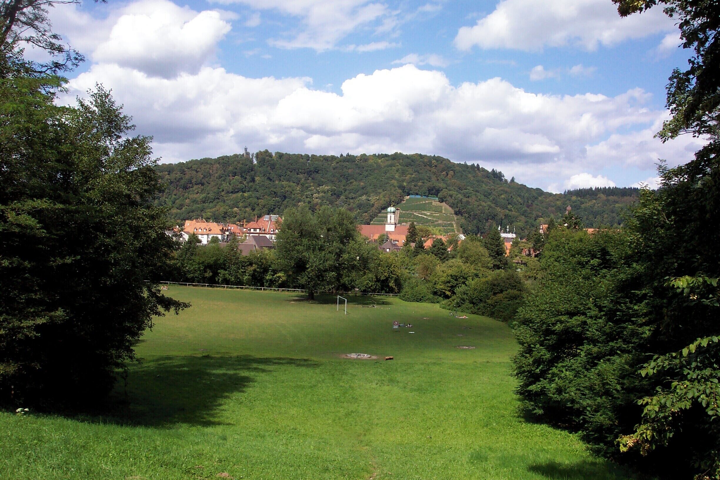 Blick auf die Sternwaldwiese, im Hintergrund die Maria Hilf Kirche