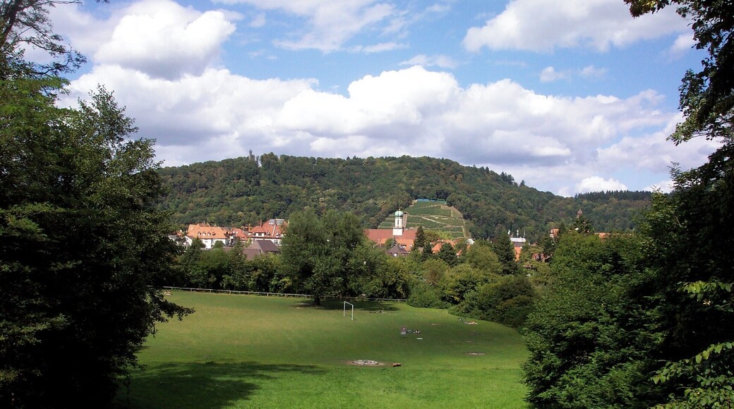 Blick auf die Sternwaldwiese, im Hintergrund die Maria Hilf Kirche