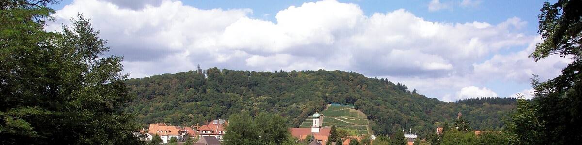 Blick auf die Sternwaldwiese, im Hintergrund die Maria Hilf Kirche