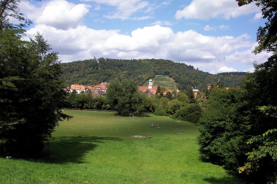 Blick auf die Sternwaldwiese, im Hintergrund die Maria Hilf Kirche