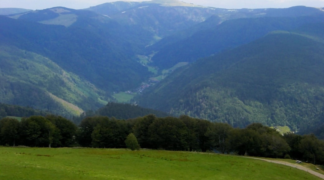 Blick vom Schauinsland ins St. Wilhelmer Tal und zum Feldberg