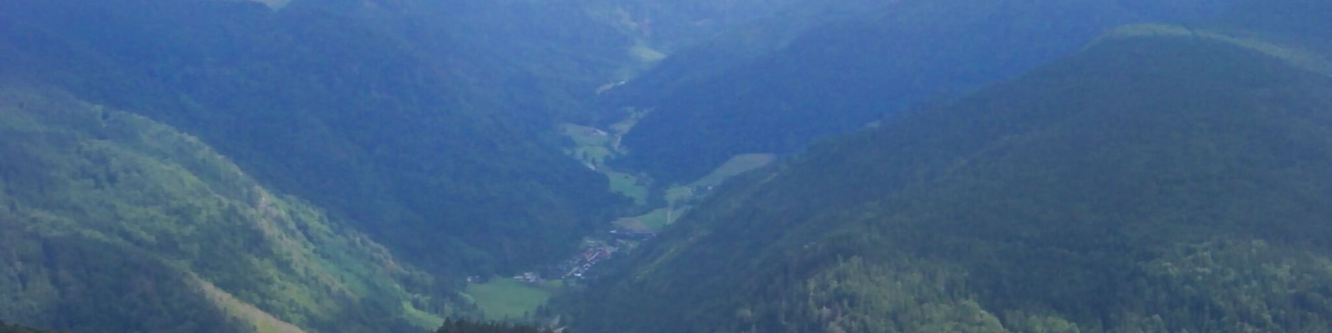Blick vom Schauinsland ins St. Wilhelmer Tal und zum Feldberg