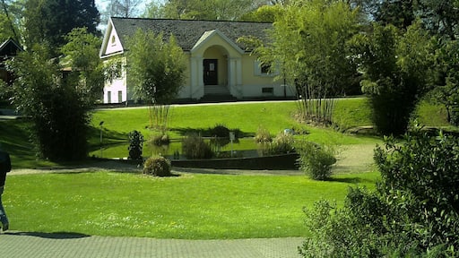 April - Spring Botanischer Garten Freiburg - 2016
