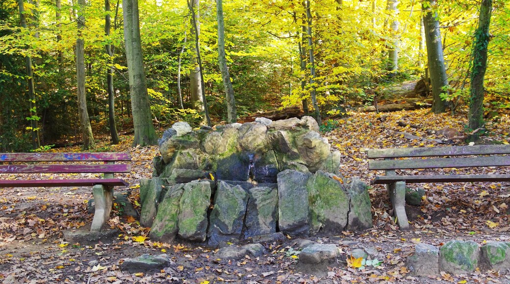 Brunnen in der Nähe des Wasserschlößchens und des Bahnübergangs