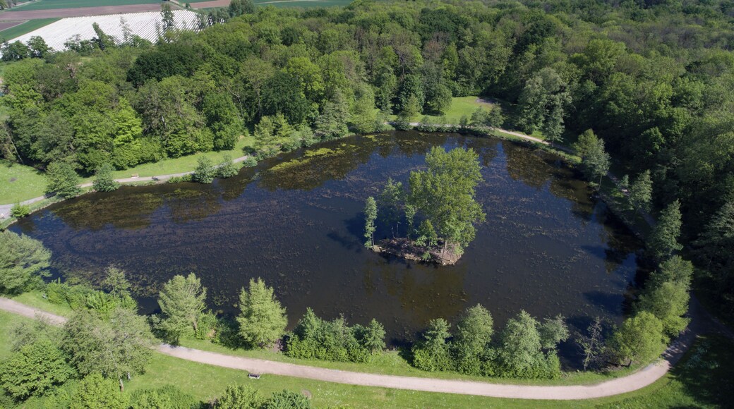 Aerial view Reutemattensee - Freiburg-Tiengen