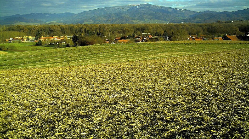 December Leuchtende Sonnwende Mount Kandel - Master Mythos Black Forest Photography 2013 Mountain View and Sun Valley Freiburg - Hochdorf Town
