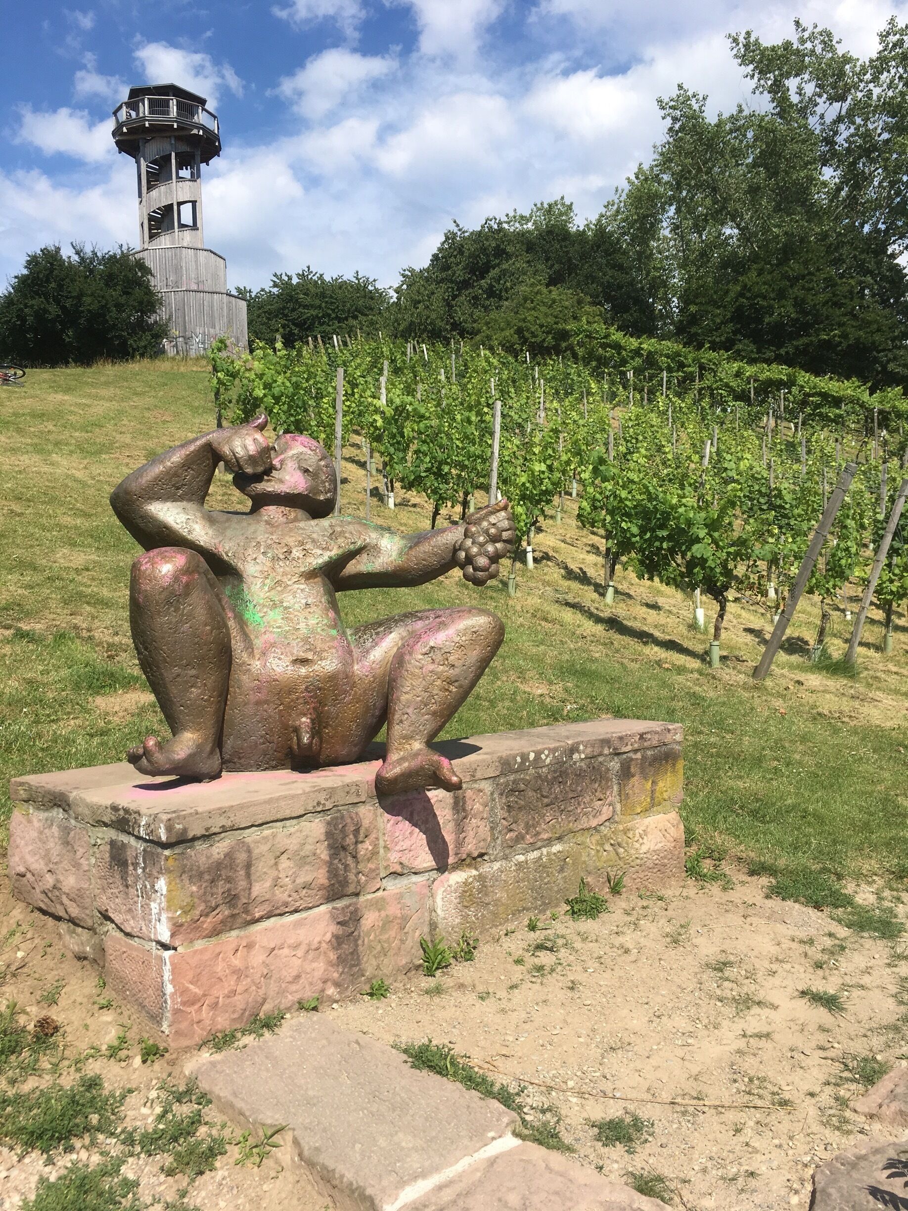 The man watching over the Vineyards of Germany.