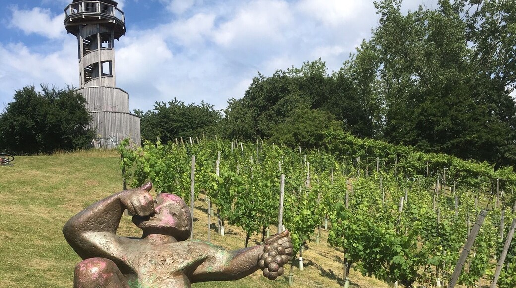 The man watching over the Vineyards of Germany.