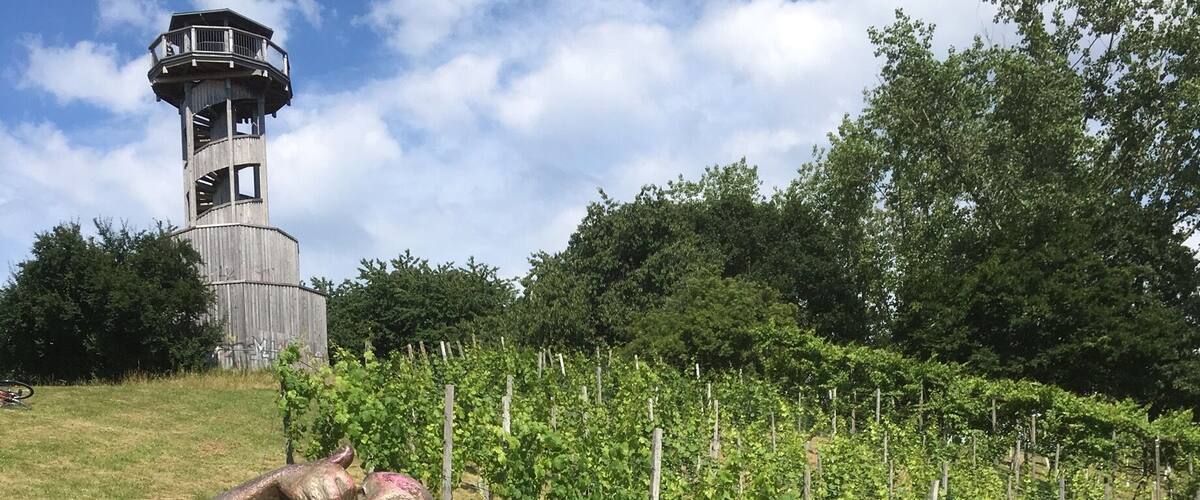 The man watching over the Vineyards of Germany.