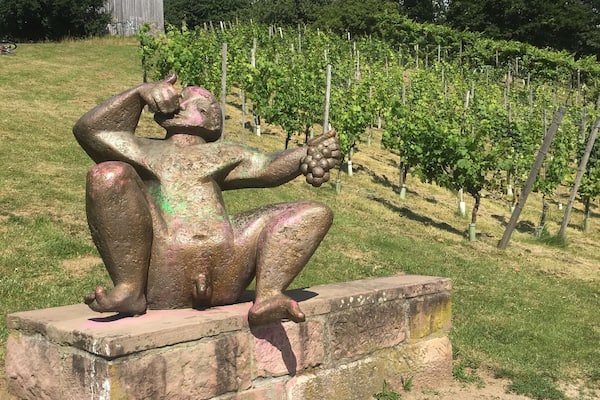 The man watching over the Vineyards of Germany.