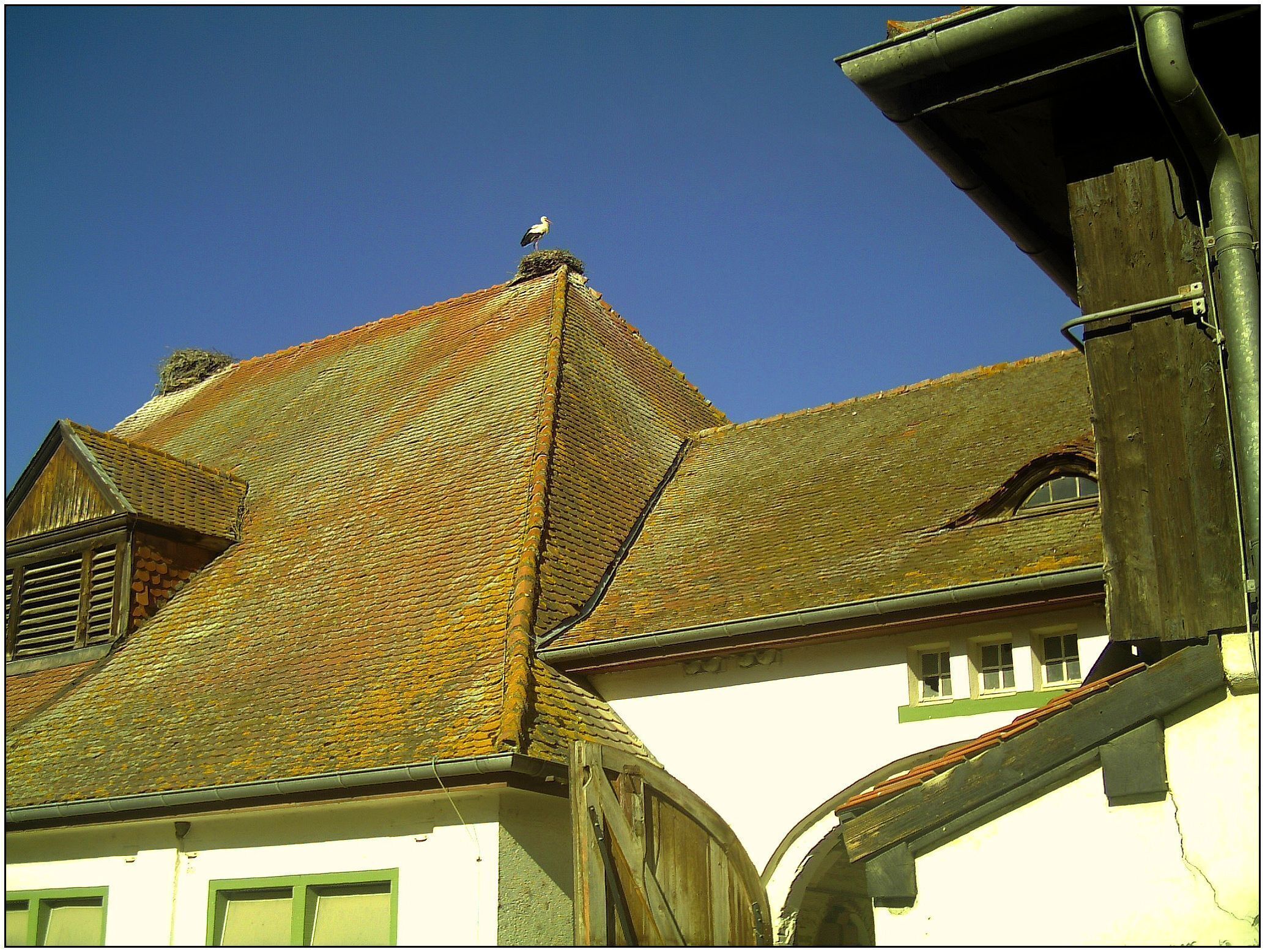 April Parc Natural Freiburg Germany - Master Landscape Rhine Valley Photography 2014 Landgut Mundenhof