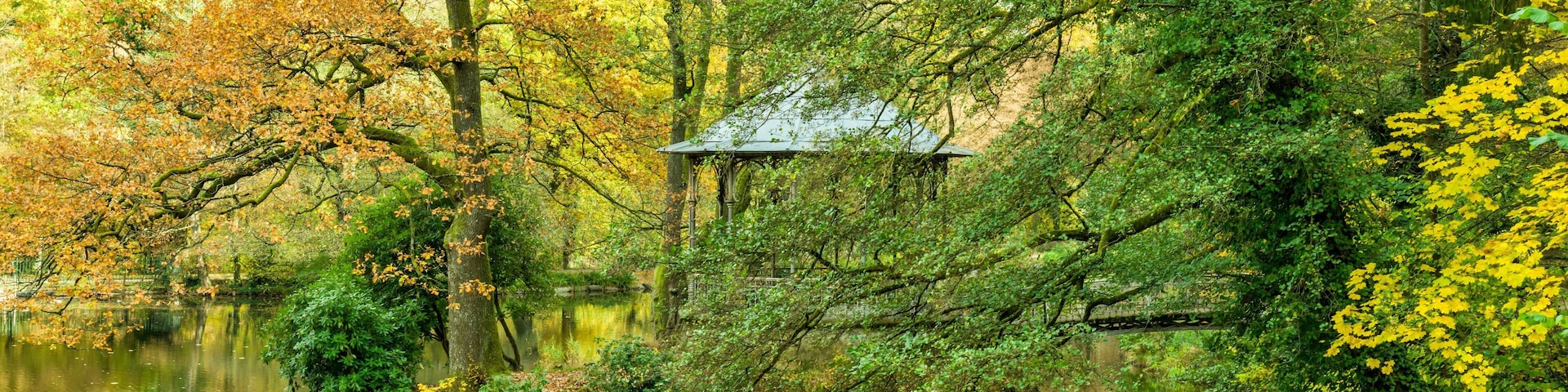 Bilder aus Freiburg im Breisgau